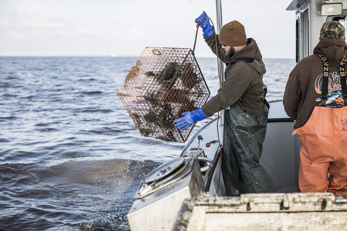 Lost Fishing Gear Recovery  North Carolina Coastal Federation