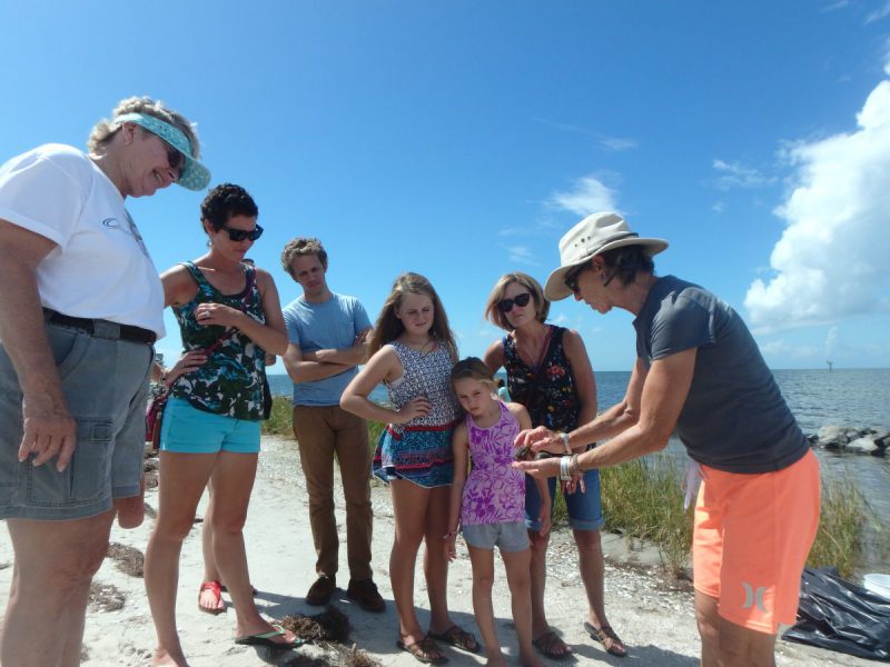 Visitors and residents learned about living shorelines at Day at the ...