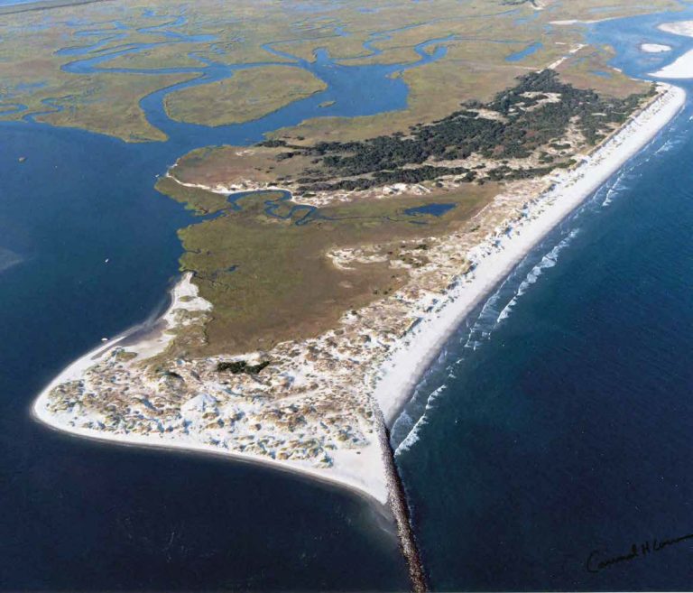 The Bird Island Coastal Reserve | North Carolina Coastal Federation