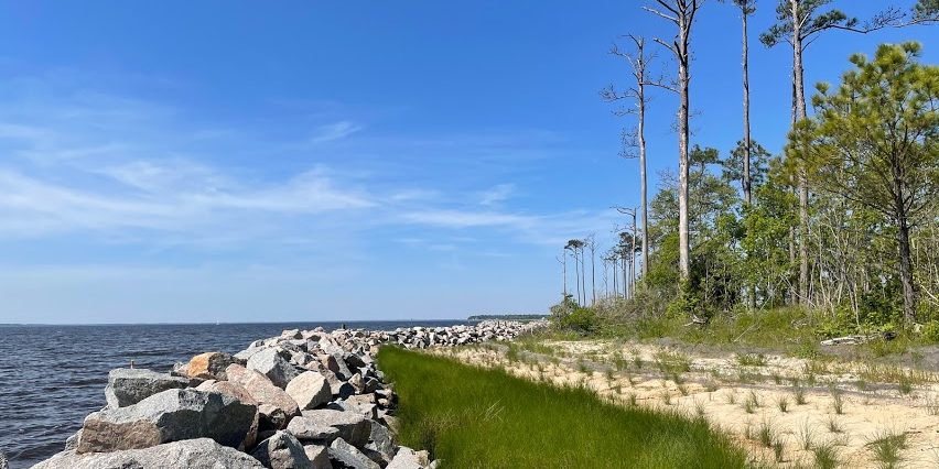 Living Shoreline Accomplishments Report 2021 | North Carolina Coastal ...