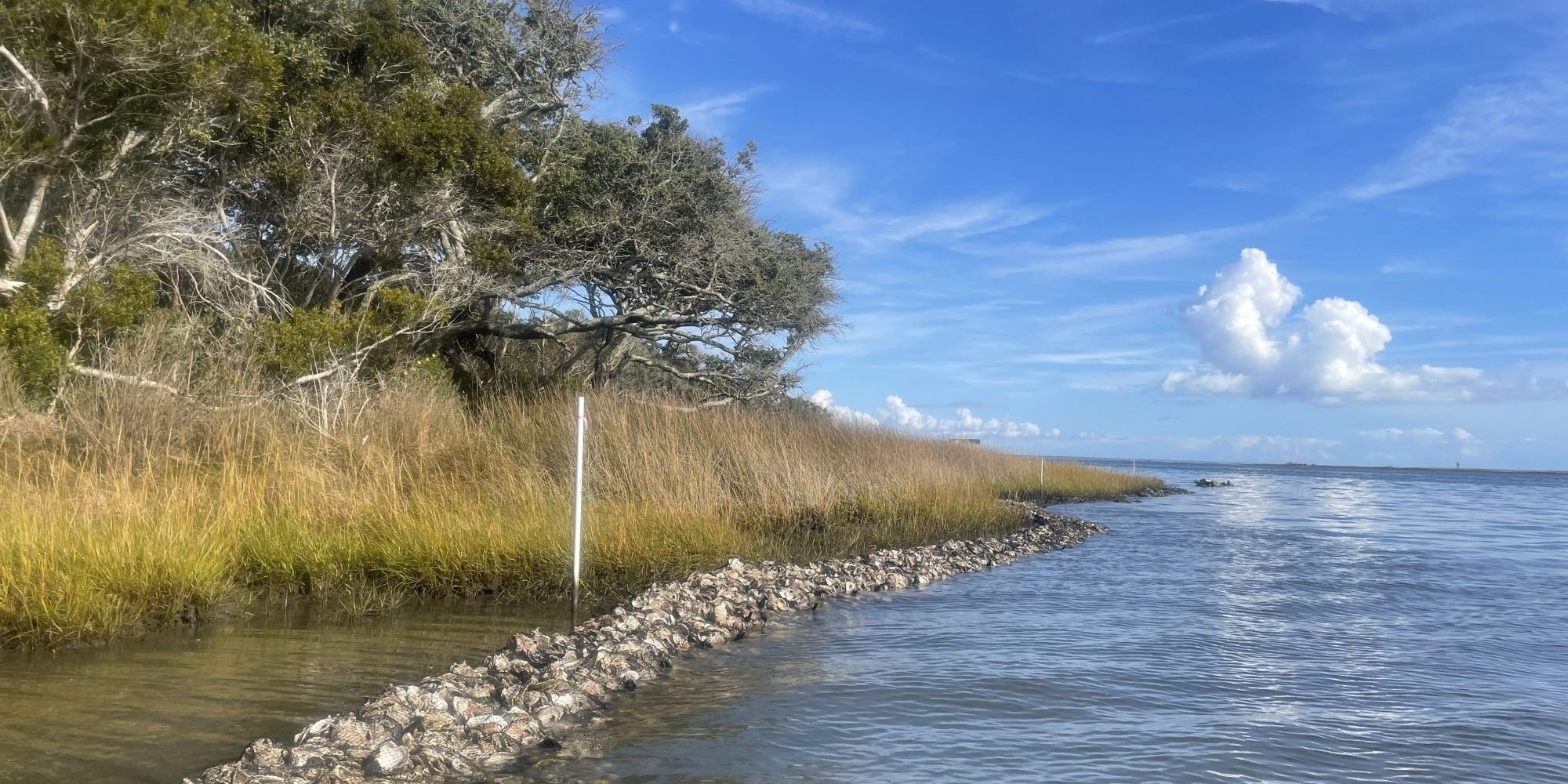 Living Shoreline Accomplishments Report 2022 | North Carolina Coastal ...