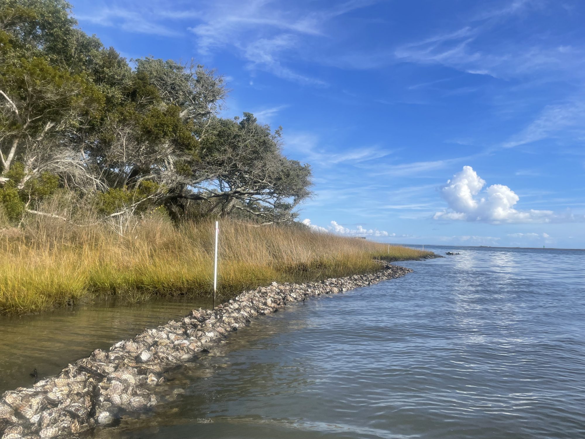 Living Shoreline Accomplishments Report 2022 | North Carolina Coastal ...