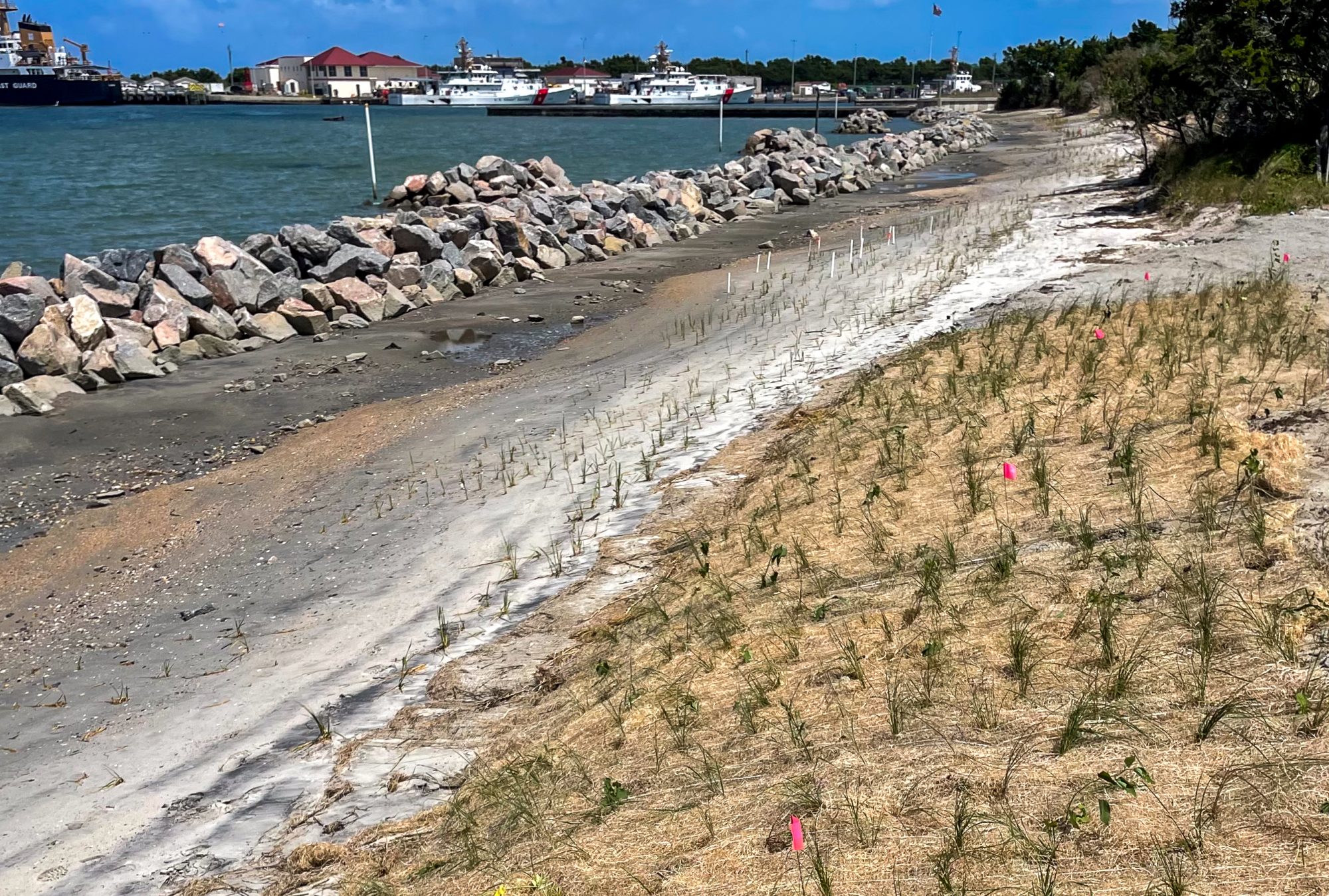 A look at the newly completed granite sill living shoreline and marsh plants at Fort Macon State Park.