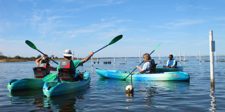 Coastal Currents: Updates on Restoration, Exploration, and Celebrations!