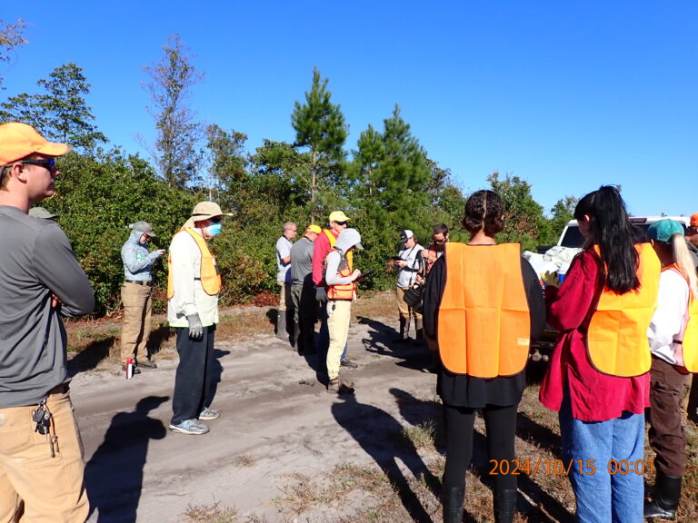 The Coastal Federation and The Nature Conservancy Team up to Restore a Pocosin Forest